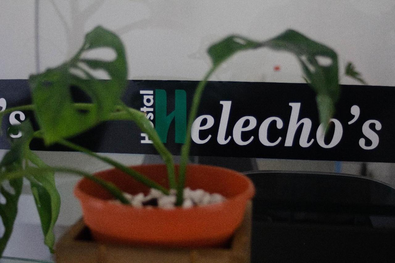 엔카르나시온 Helecho'S Hostal 호스텔 외부 사진